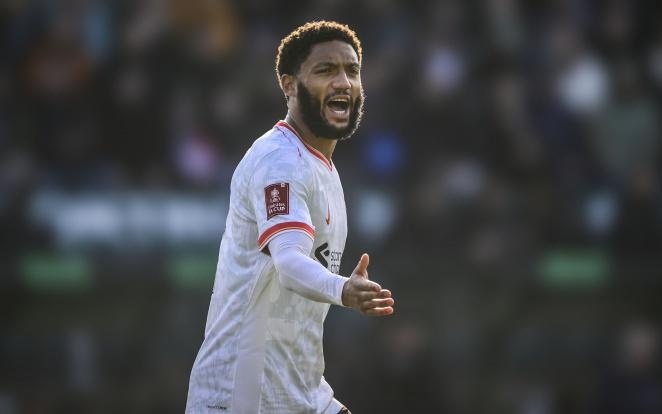 的洛杉矶湖 的洛杉矶湖