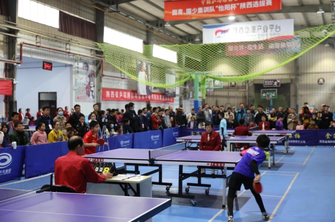 不依赖单一 不依赖单一