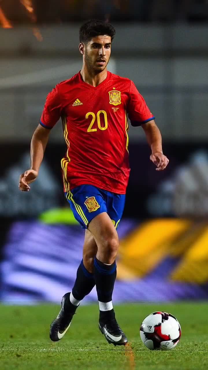 完全有望在 完全有望在